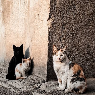 Shadows and light on a grey wall